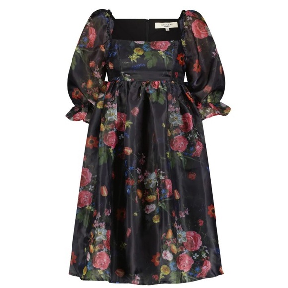 NWT JessaKae Polly Dress (2X) - Picture 8 of 12